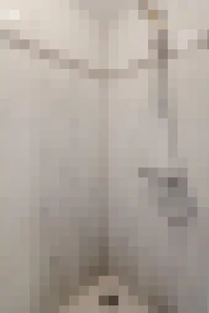 Boulevard 23 a Velp thumbnail 20