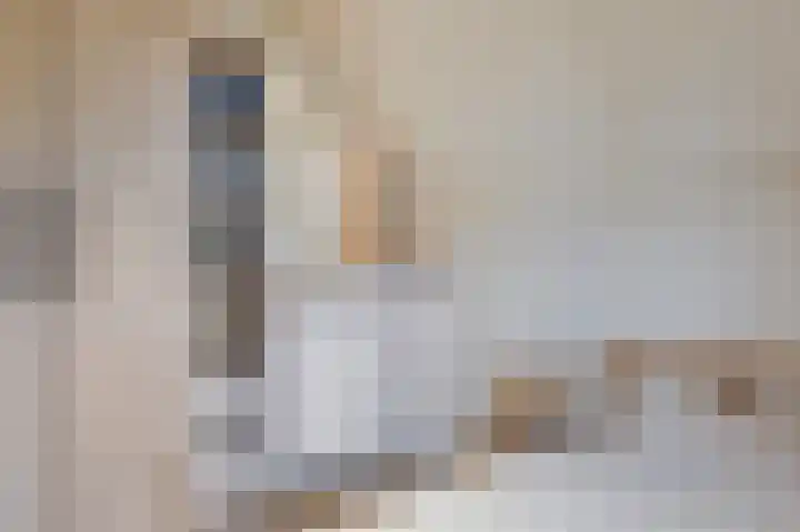 Boulevard 23 a Velp thumbnail 24