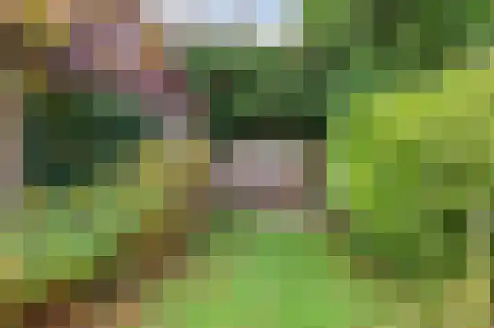 Boulevard 23 a Velp thumbnail 32