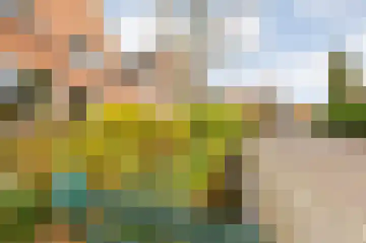 Boulevard 23 a Velp thumbnail 35