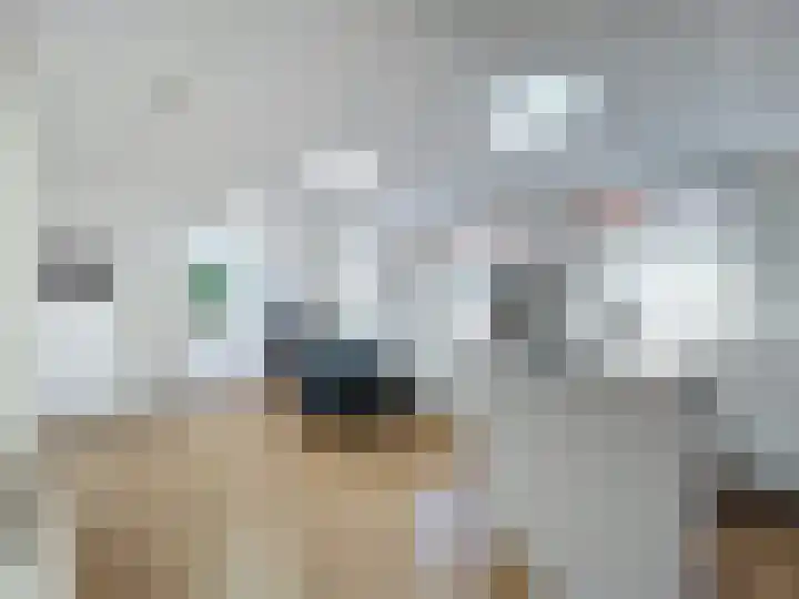 Boulevard 9 Breskens thumbnail 6
