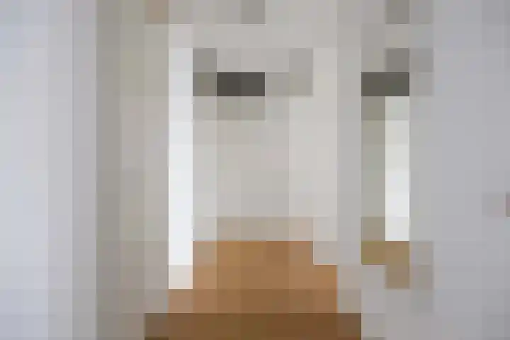Boumaboulevard 203 Groningen thumbnail 15