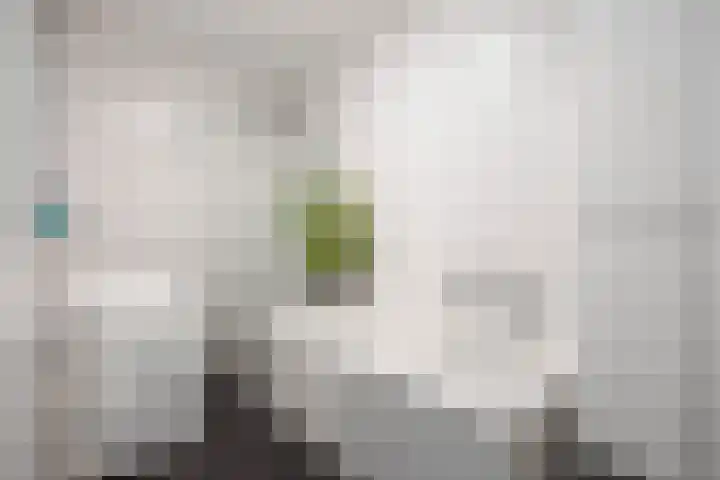 Boumaboulevard 203 Groningen thumbnail 21