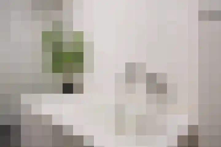 Boumaboulevard 203 Groningen thumbnail 25