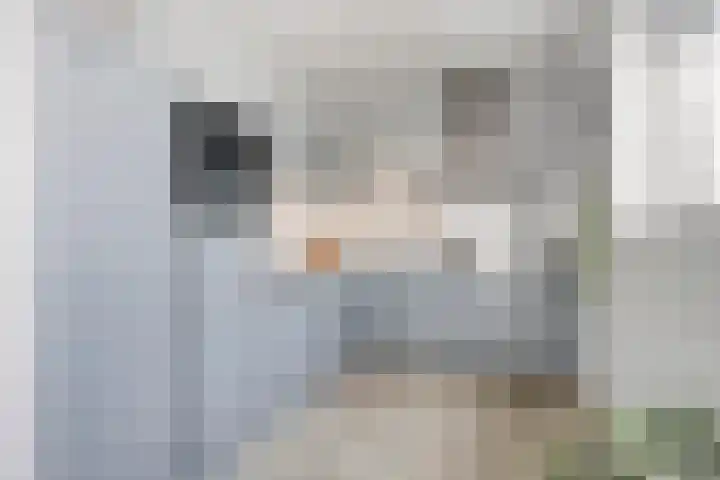 Boumaboulevard 415 Groningen thumbnail 26