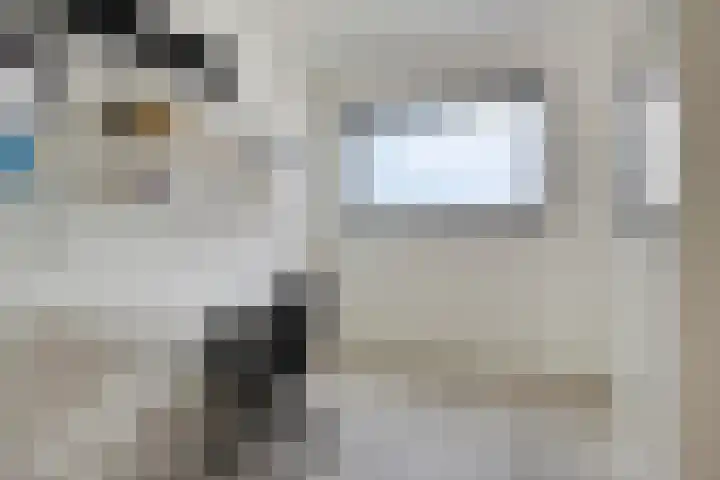 Boumaboulevard 415 Groningen thumbnail 37