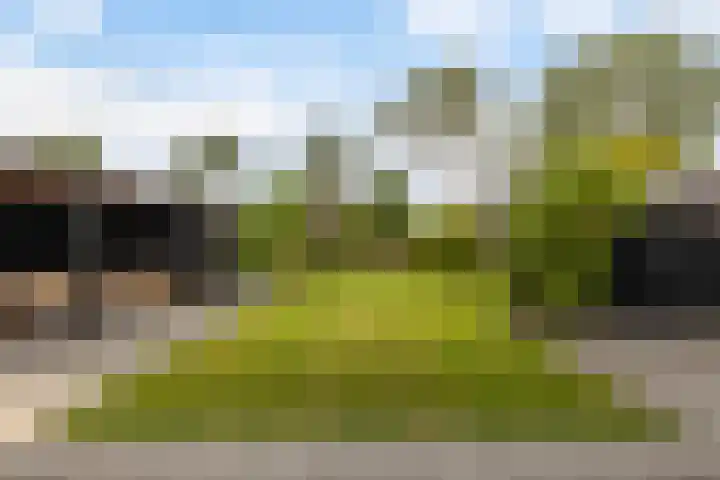 Bourboomweg 16 Burdaard thumbnail 10