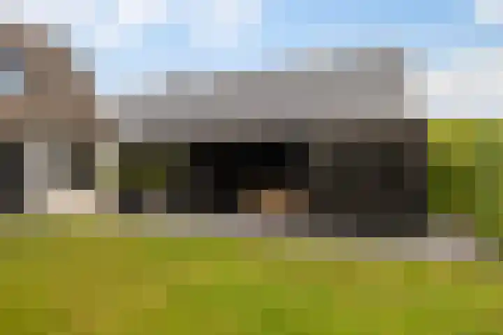 Bourboomweg 16 Burdaard thumbnail 11