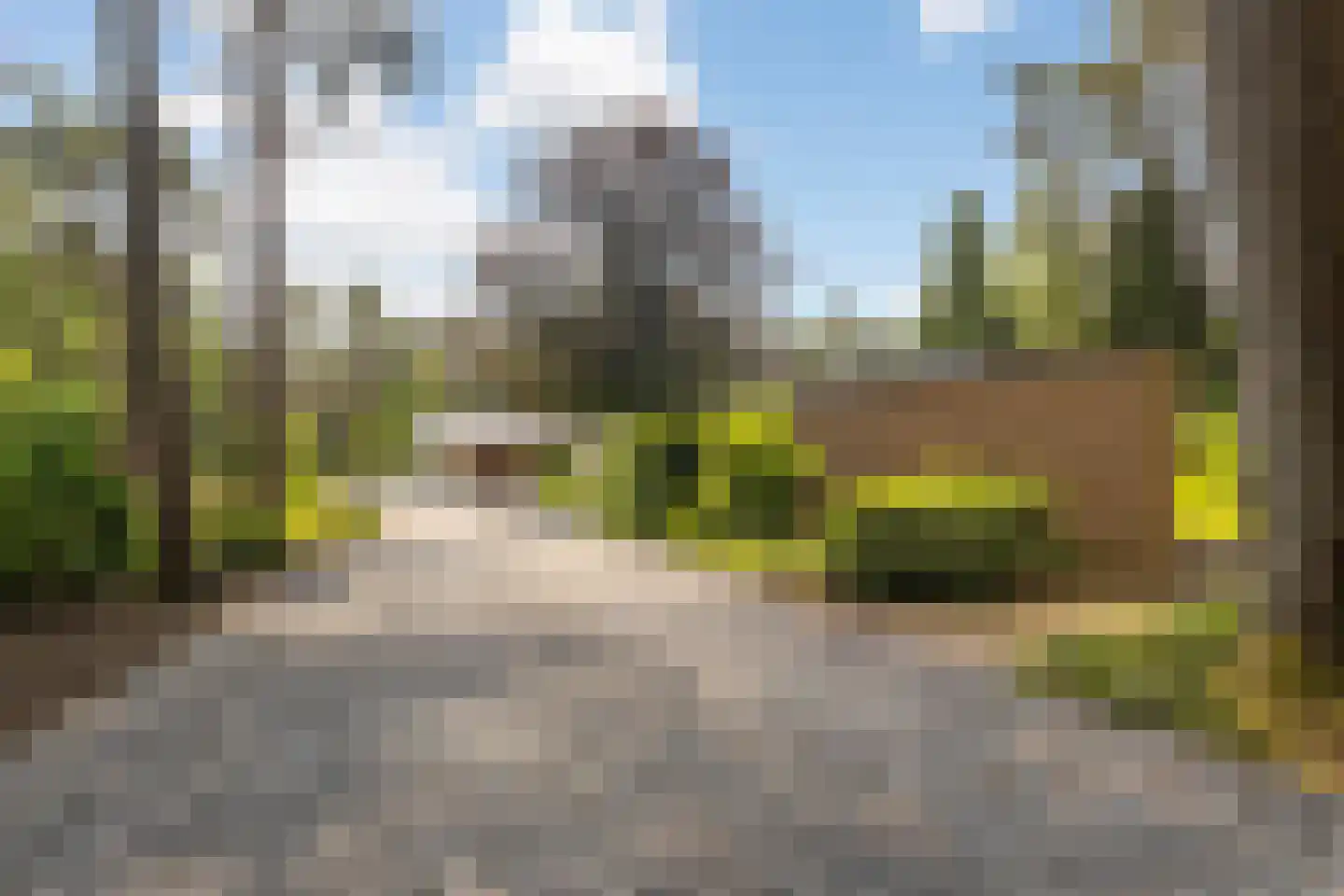 Bourboomweg 16 Burdaard thumbnail 7