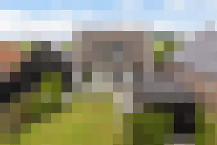 Bourboomweg 16 Burdaard thumbnail 74