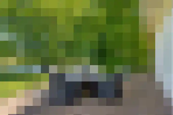 Bourboomweg 4 Burdaard thumbnail 26