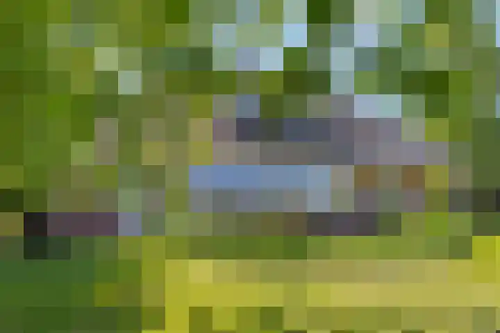 Bourboomweg 4 Burdaard thumbnail 30
