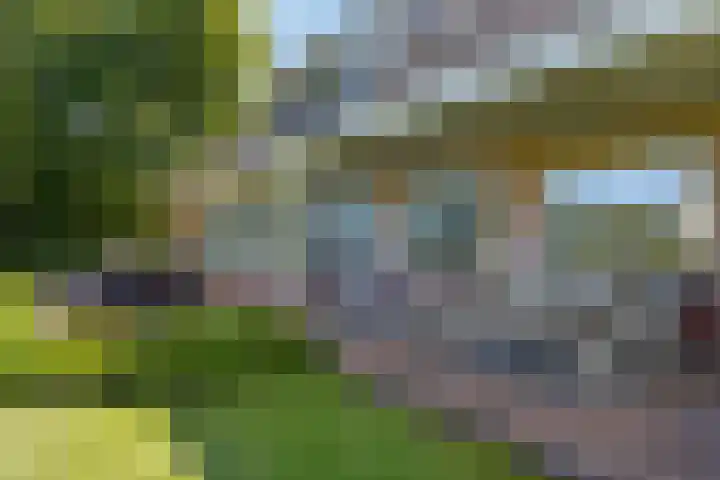 Bourboomweg 4 Burdaard thumbnail 32