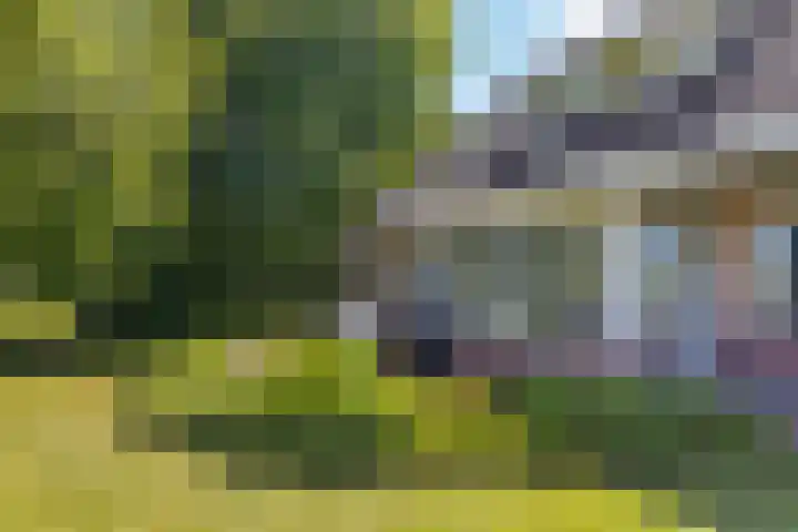 Bourboomweg 4 Burdaard thumbnail 33