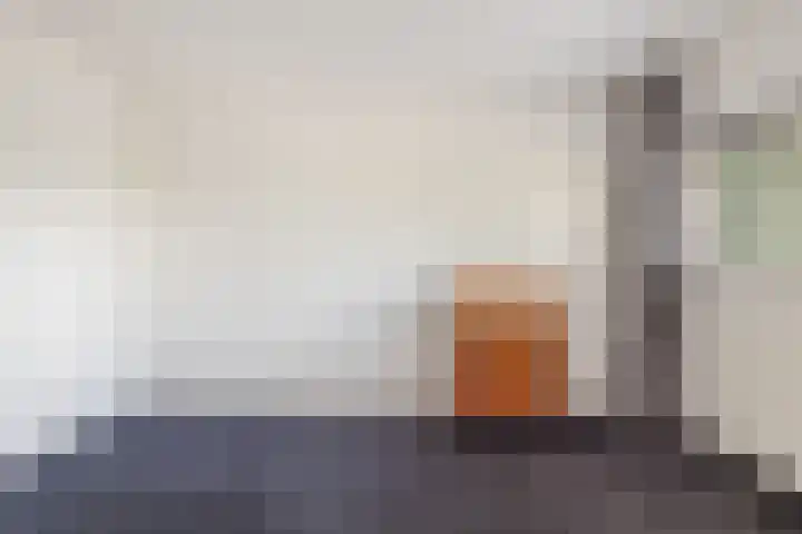 Bourboomweg 4 Burdaard thumbnail 35