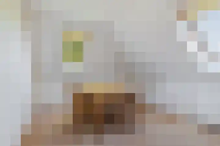 Bourboomweg 4 Burdaard thumbnail 52