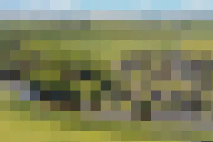 Bourboomweg 4 Burdaard thumbnail 58