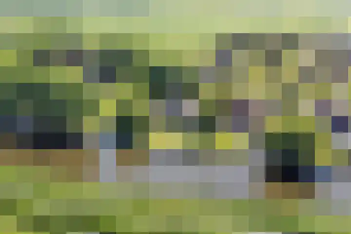 Bourboomweg 4 Burdaard thumbnail 59