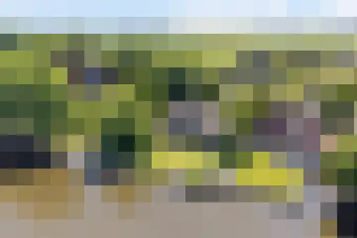 Bourboomweg 4 Burdaard thumbnail 60