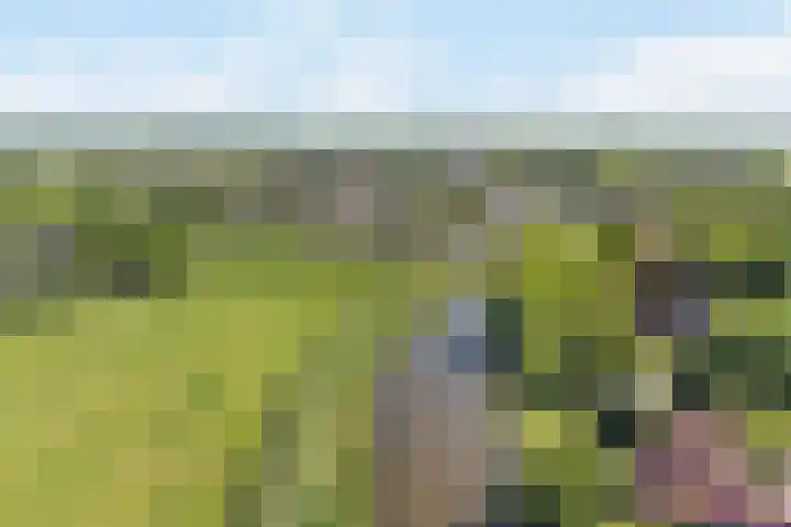 Bourboomweg 4 Burdaard thumbnail 64