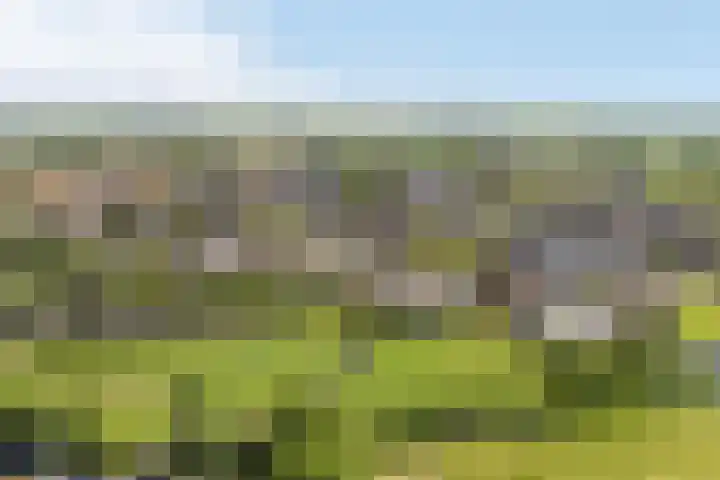 Bourboomweg 4 Burdaard thumbnail 65