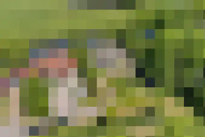 Bourboomweg 4 Burdaard thumbnail 67