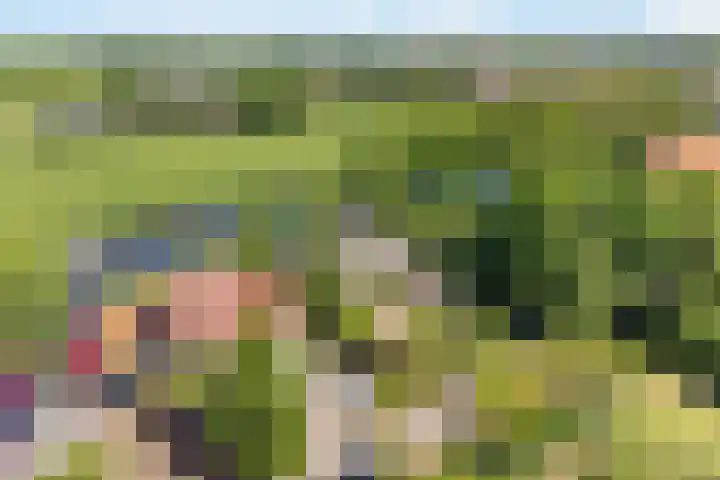 Bourboomweg 4 Burdaard thumbnail 68