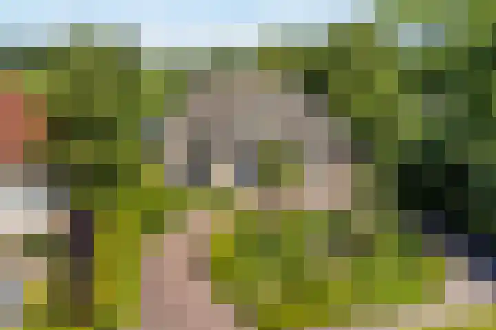 Bourboomweg 4 Burdaard thumbnail 69