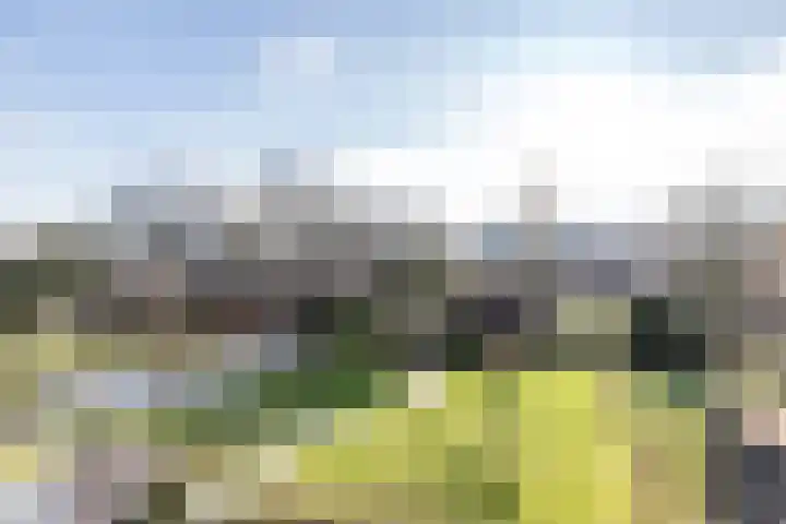 Bourgogne 8 Eijsden thumbnail 31