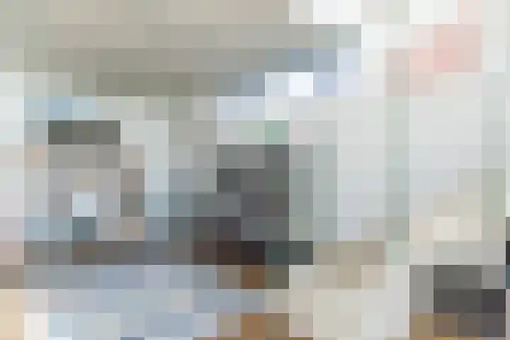 Bourgogne 8 Eijsden thumbnail 36