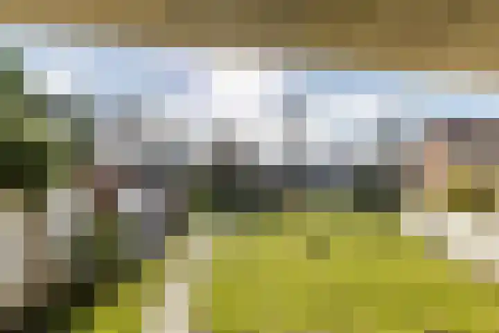 Bourgogne 8 Eijsden thumbnail 38