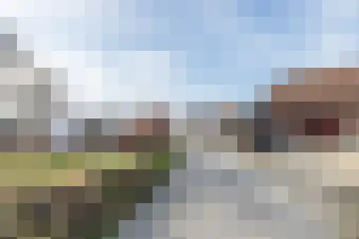 Bourgogne 8 Eijsden thumbnail 52