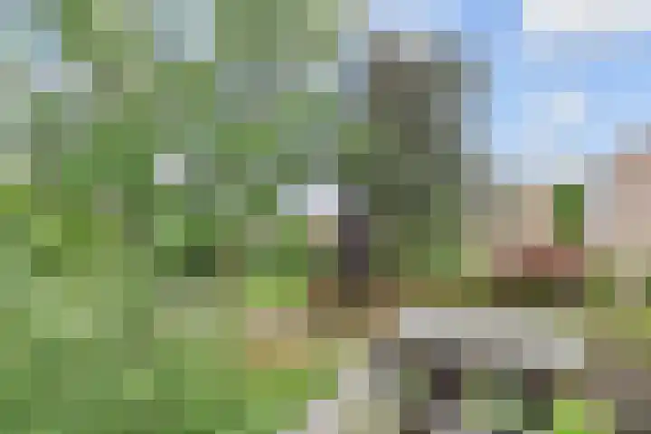 Bourgogne 8 Eijsden thumbnail 54