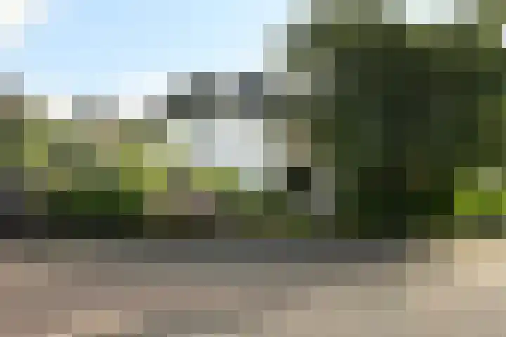 Bourgondië 1 Steenbergen thumbnail 37