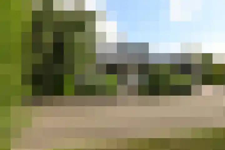 Bourgondië 1 Steenbergen thumbnail 38