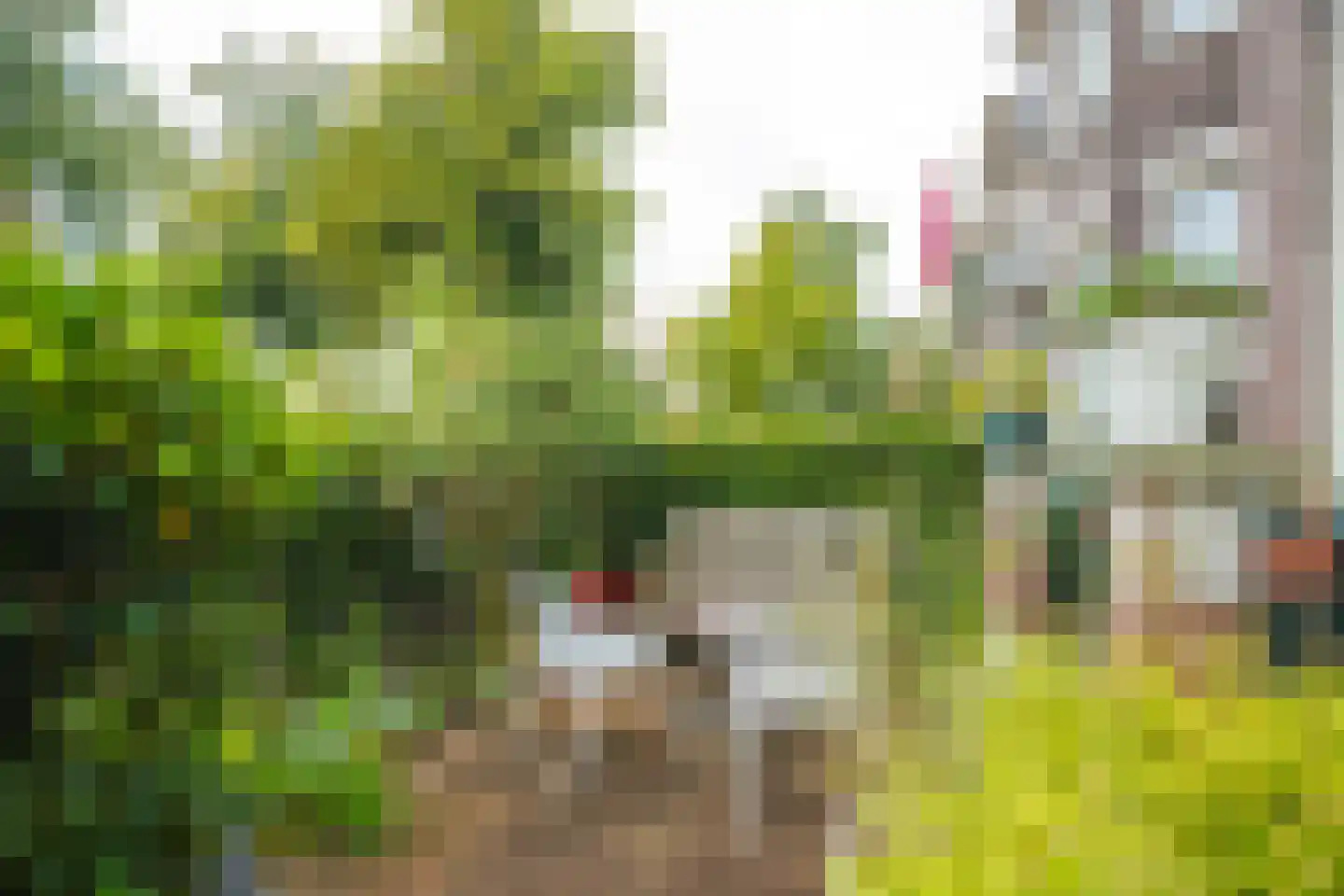 Bouriciusstraat 8 Arnhem thumbnail 8