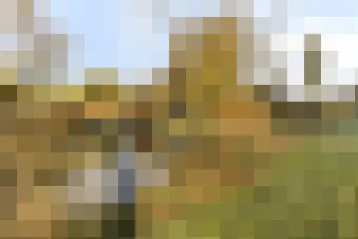 Boutenburg 127 Amsterdam thumbnail 9