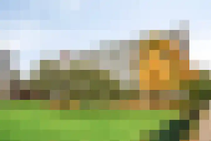 Boutenburg 31 Amsterdam