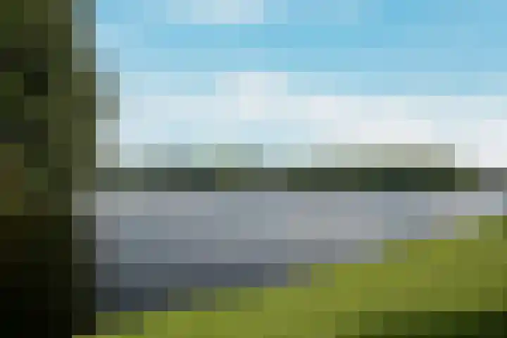 Boutenburg 323 Amsterdam thumbnail 31