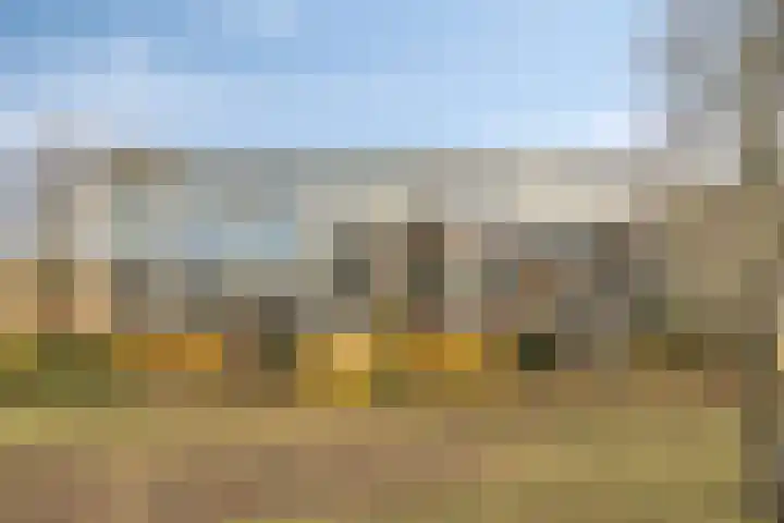 Boutensgaarde 34 Deventer thumbnail 27