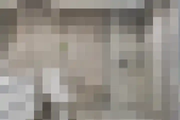 Bouvigne 122 Eindhoven thumbnail 22