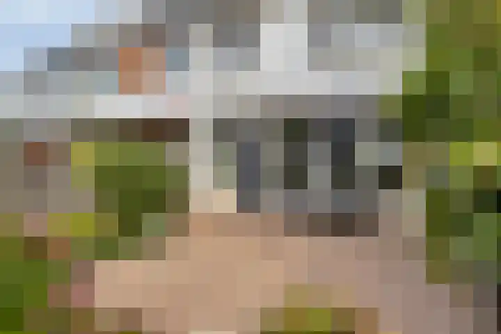 Bouvigne 122 Eindhoven thumbnail 37