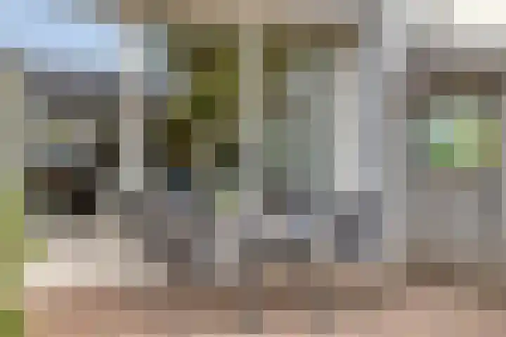 Bouvigne 122 Eindhoven thumbnail 38