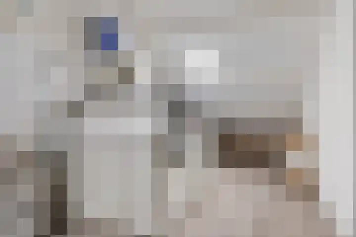 Bouvigne 51 Eindhoven thumbnail 13