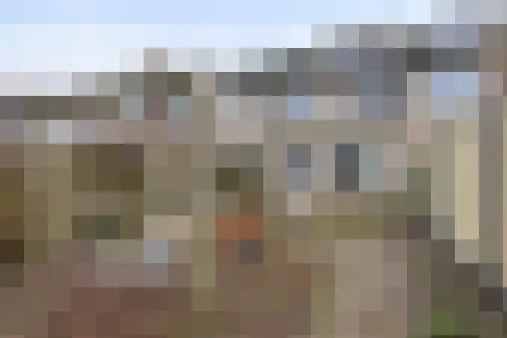 Bouvigne 51 Eindhoven thumbnail 33