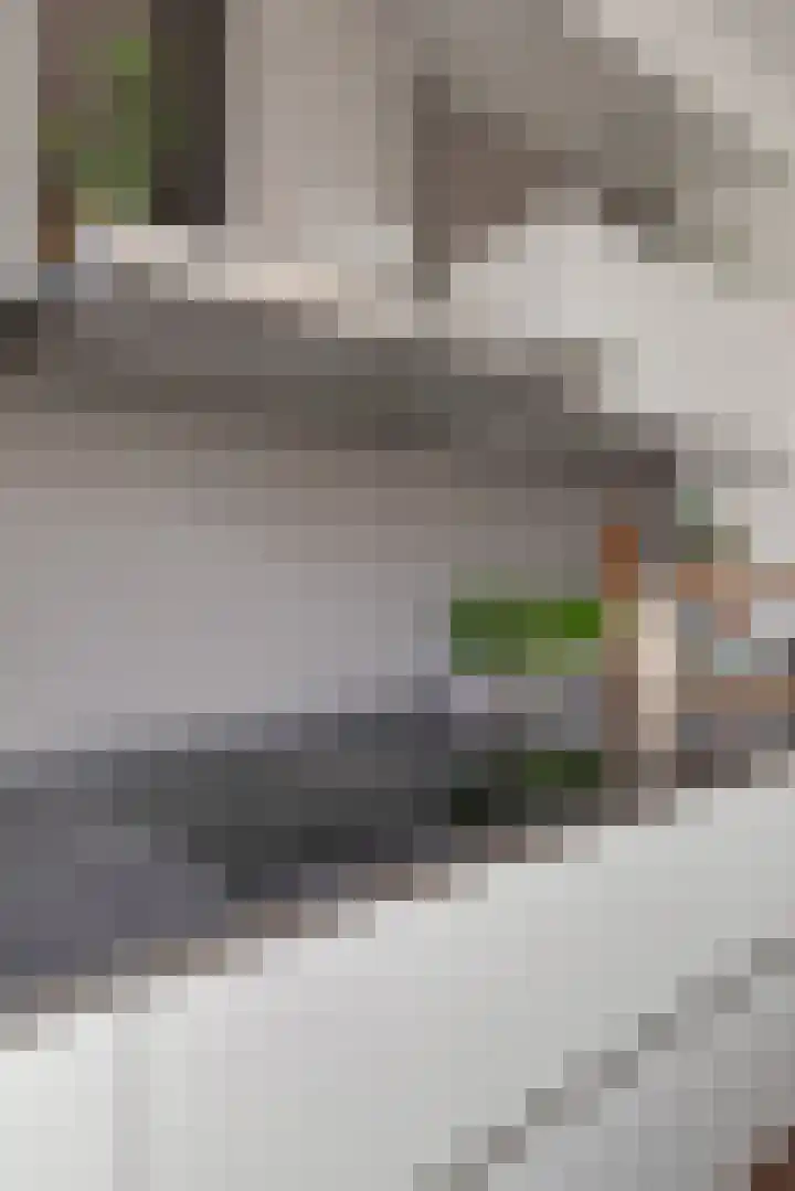 Bouvigne 51 Eindhoven thumbnail 42