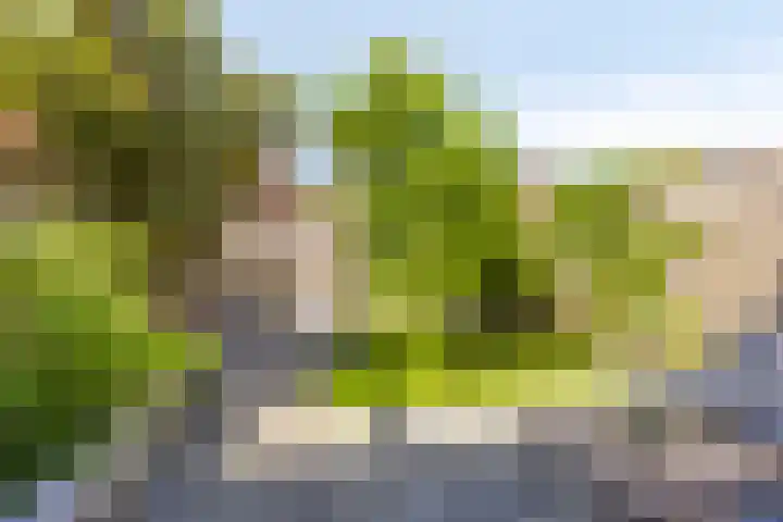 Bouwkamp 11 Kampen thumbnail 25