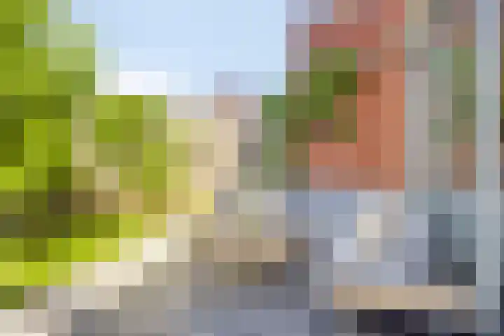 Bouwkamp 11 Kampen thumbnail 26