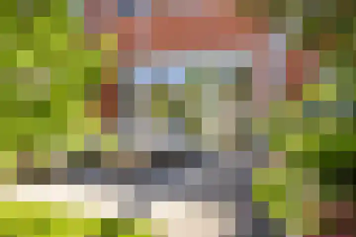 Bouwkamp 11 Kampen thumbnail 27