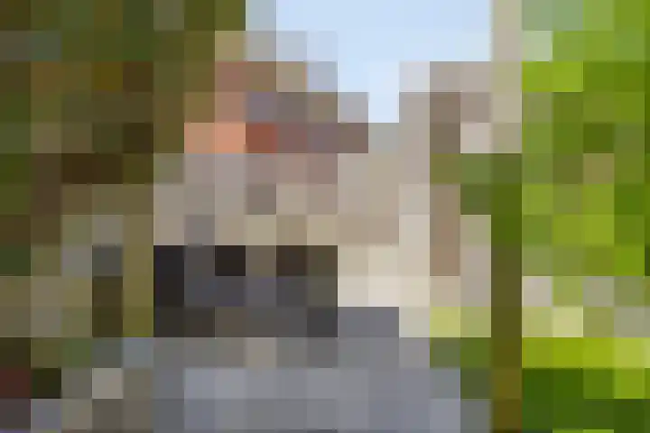 Bouwkamp 11 Kampen thumbnail 28